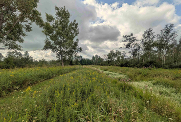 Tuscola County 60
